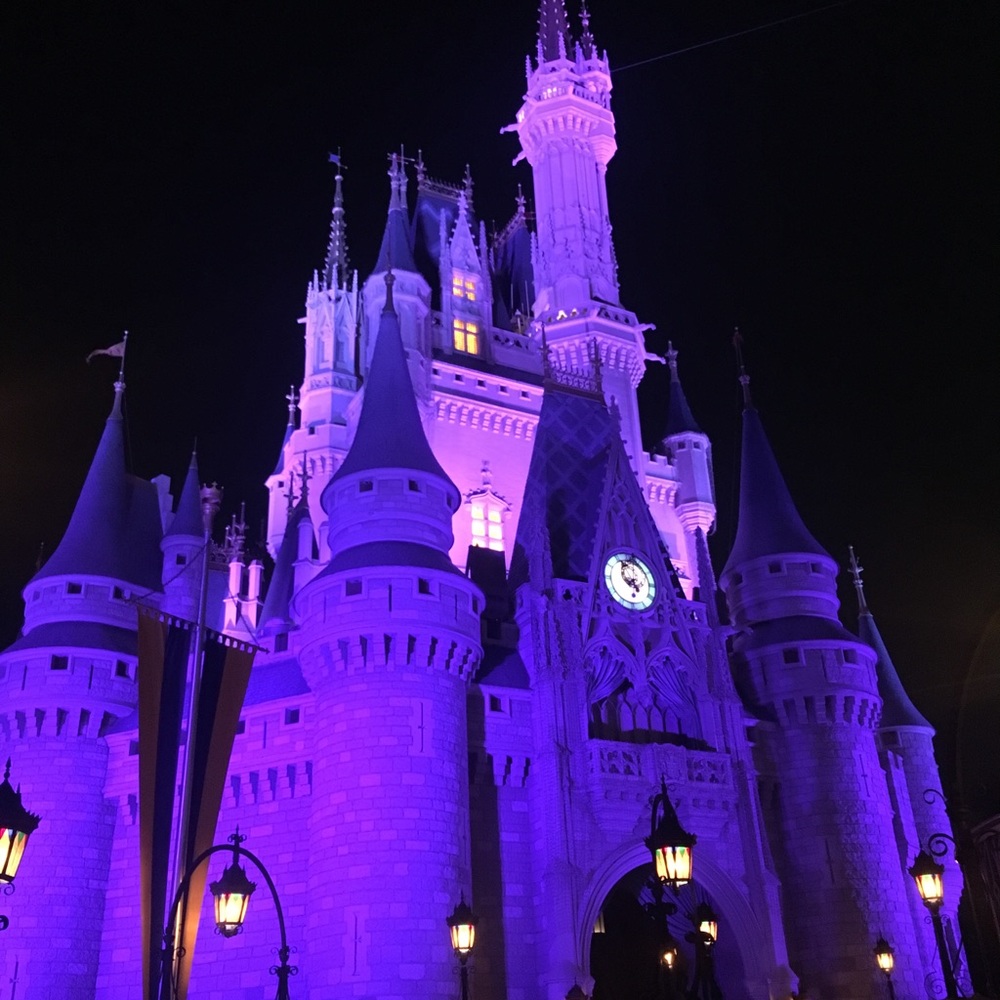 Meet your Posher, Misty